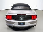 2020 Mustang Thumbnail 6