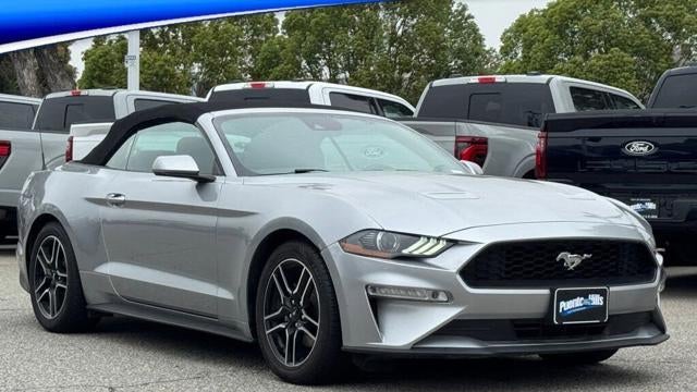 Preowned 2021 Ford Mustang EcoBoost Premium for Sale