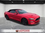 2023 Mustang Thumbnail 7