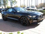 2016 Mustang Thumbnail 6