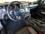 2016 Mustang Thumbnail 13