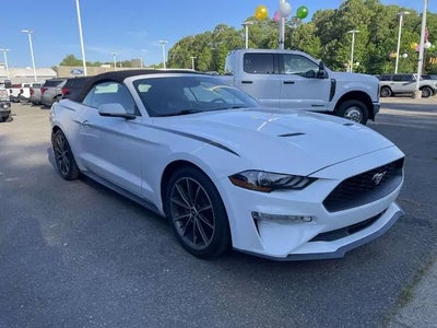 2019 Ford Mustang Ecoboost 2DR Convertible