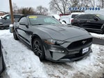 2019 Mustang Thumbnail 1