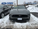 2019 Mustang Thumbnail 2