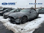 2019 Mustang Thumbnail 3