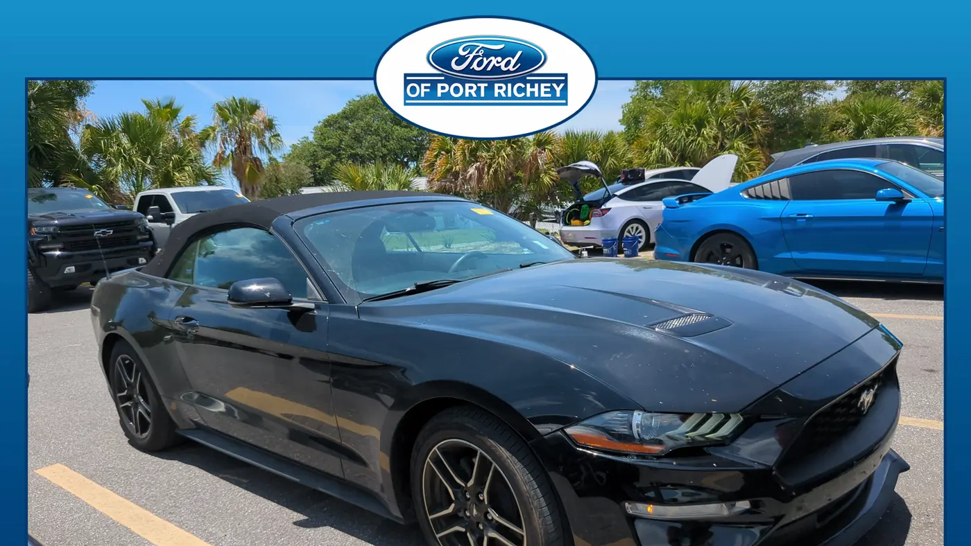 Preowned 2020 Ford Mustang EcoBoost for Sale