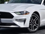 2020 Mustang Thumbnail 2