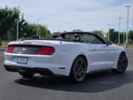 2020 Mustang Thumbnail 10