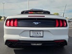 2020 Mustang Thumbnail 12