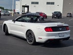 2020 Mustang Thumbnail 13
