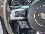 2020 Mustang Thumbnail 24