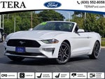 2020 Mustang Thumbnail 34