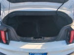 2021 Mustang Thumbnail 14