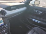 2021 Mustang Thumbnail 18
