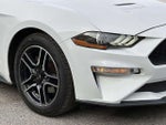 2021 Mustang Thumbnail 11