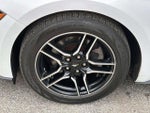 2021 Mustang Thumbnail 13