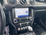 2021 Mustang Thumbnail 24