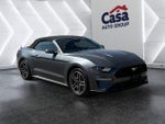 2022 Mustang Thumbnail 1