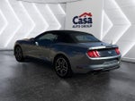 2022 Mustang Thumbnail 10