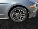2022 Mustang Thumbnail 16