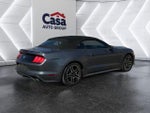 2022 Mustang Thumbnail 19