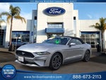 2022 Mustang Thumbnail 1