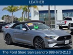 2022 Mustang Thumbnail 4