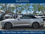 2022 Mustang Thumbnail 5