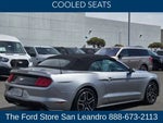 2022 Mustang Thumbnail 8
