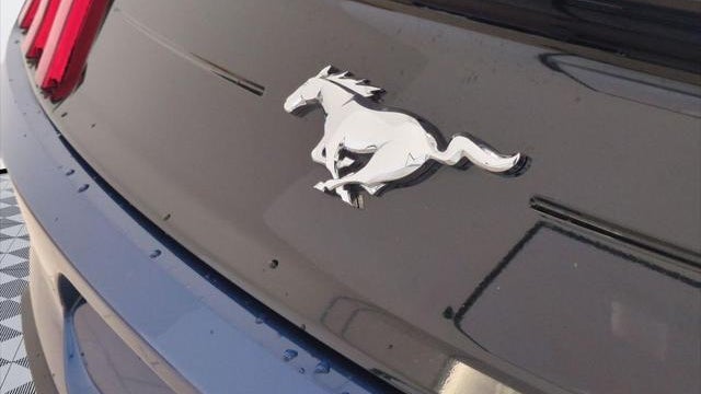 2022 Ford Mustang EcoBoost