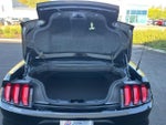 2023 Mustang Thumbnail 14