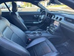 2023 Mustang Thumbnail 15