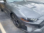 2023 Mustang Thumbnail 3