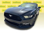 2017 Mustang Thumbnail 10