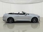 2017 Mustang Thumbnail 5
