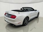 2017 Mustang Thumbnail 6