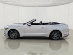 2017 Mustang Thumbnail 9