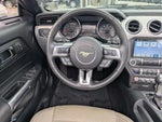 2017 Mustang Thumbnail 16