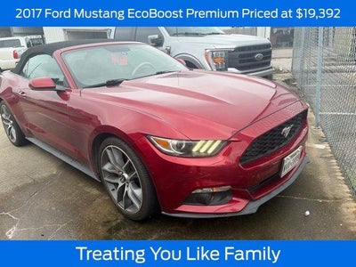 Photo of a 2017 Ford Mustang Ecoboost Premium 2DR Convertible for sale
