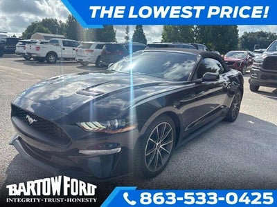 Photo of a 2019 Ford Mustang Ecoboost 2DR Convertible for sale