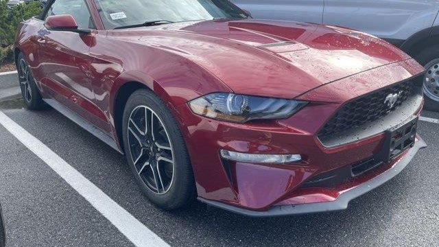 Preowned 2019 Ford Mustang EcoBoost for Sale