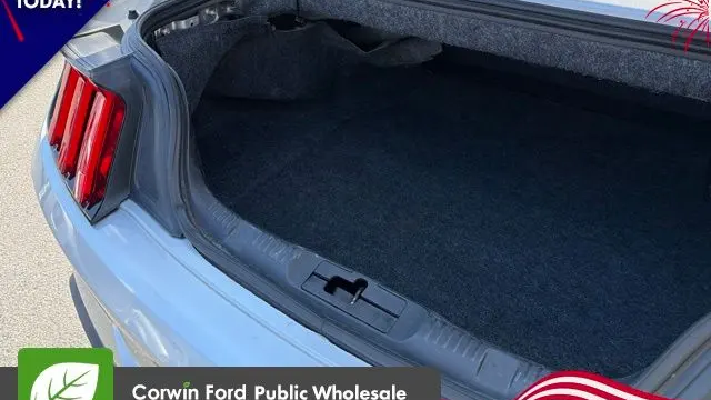 2019 Ford Mustang EcoBoost