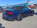 2019 Mustang Thumbnail 3