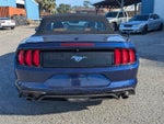 2019 Mustang Thumbnail 4