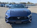 2019 Mustang Thumbnail 8