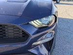 2019 Mustang Thumbnail 10