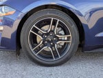 2019 Mustang Thumbnail 11