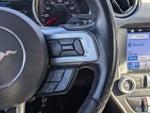 2019 Mustang Thumbnail 17