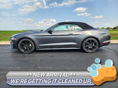 2019 Ford Mustang Ecoboost Premium 2DR Convertible