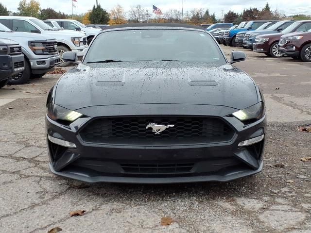 2019 Ford Mustang - $12,998